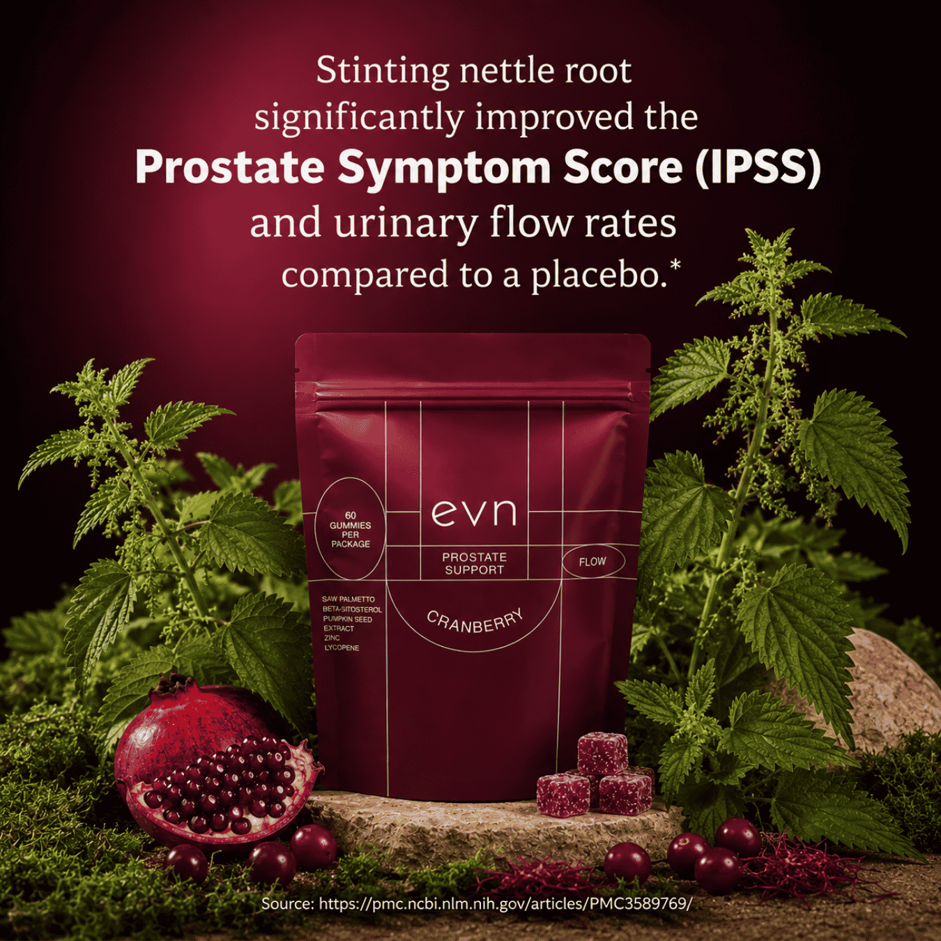 stinging nettle research infographic